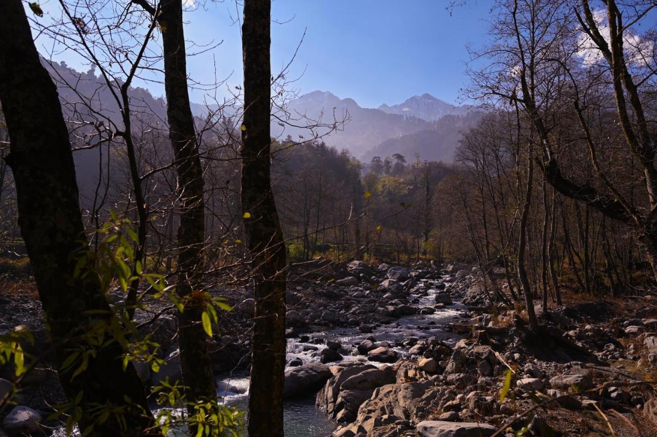 הוסטל Nagar  Zostel Dobhi, Manali מראה חיצוני תמונה