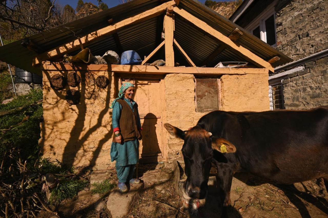 הוסטל Nagar  Zostel Dobhi, Manali מראה חיצוני תמונה
