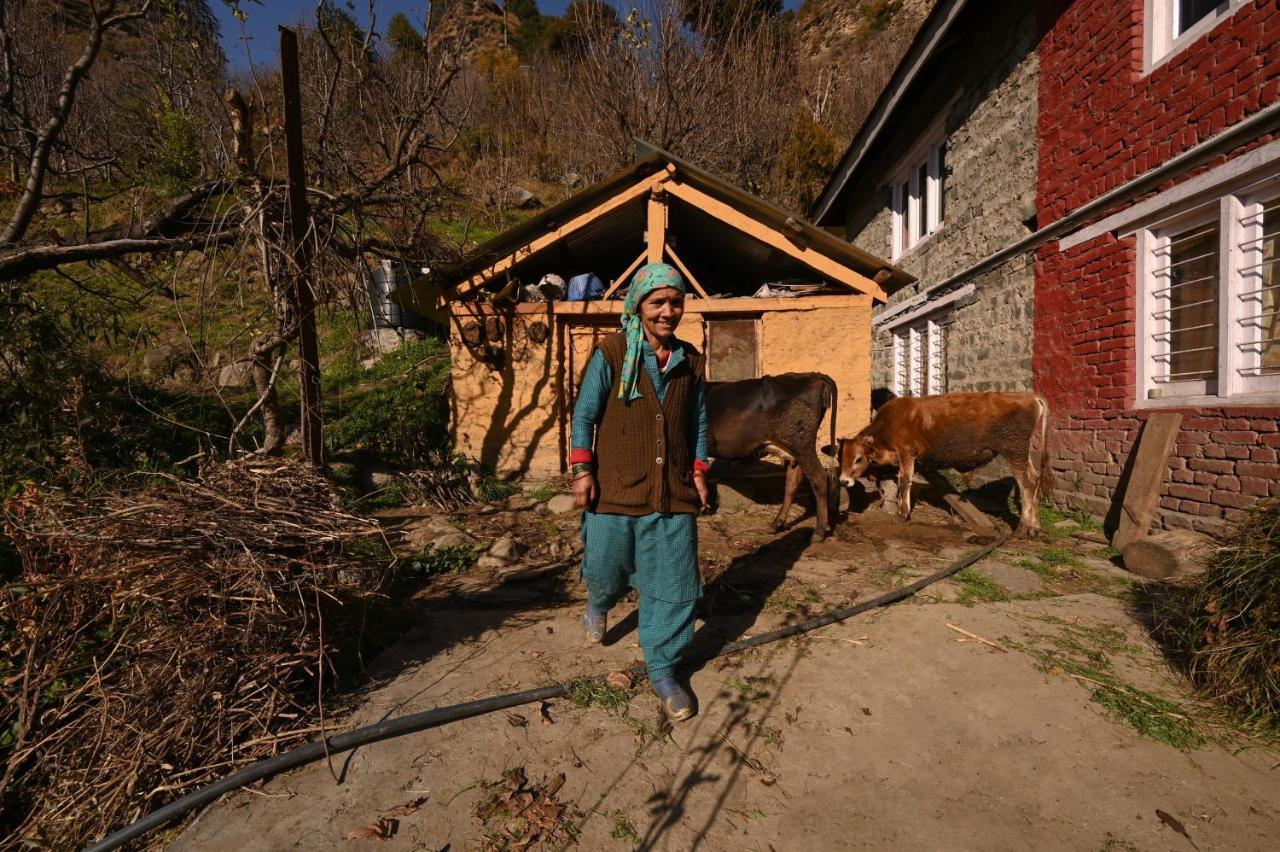 הוסטל Nagar  Zostel Dobhi, Manali מראה חיצוני תמונה