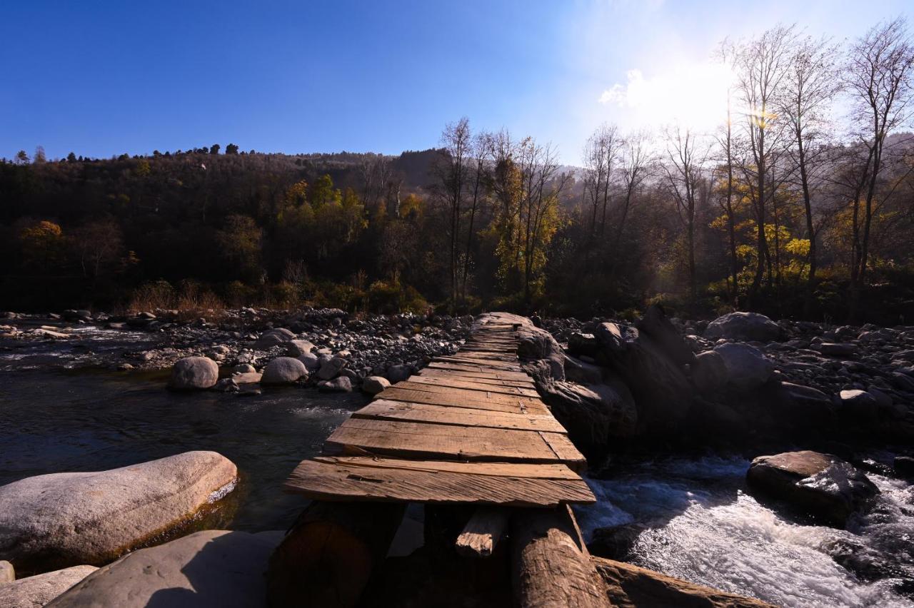 הוסטל Nagar  Zostel Dobhi, Manali מראה חיצוני תמונה