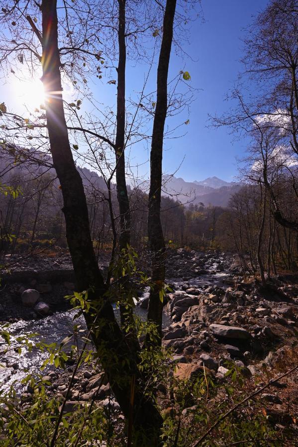 הוסטל Nagar  Zostel Dobhi, Manali מראה חיצוני תמונה