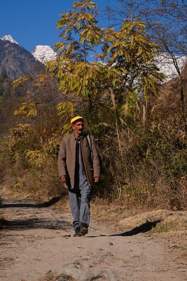 הוסטל Nagar  Zostel Dobhi, Manali מראה חיצוני תמונה