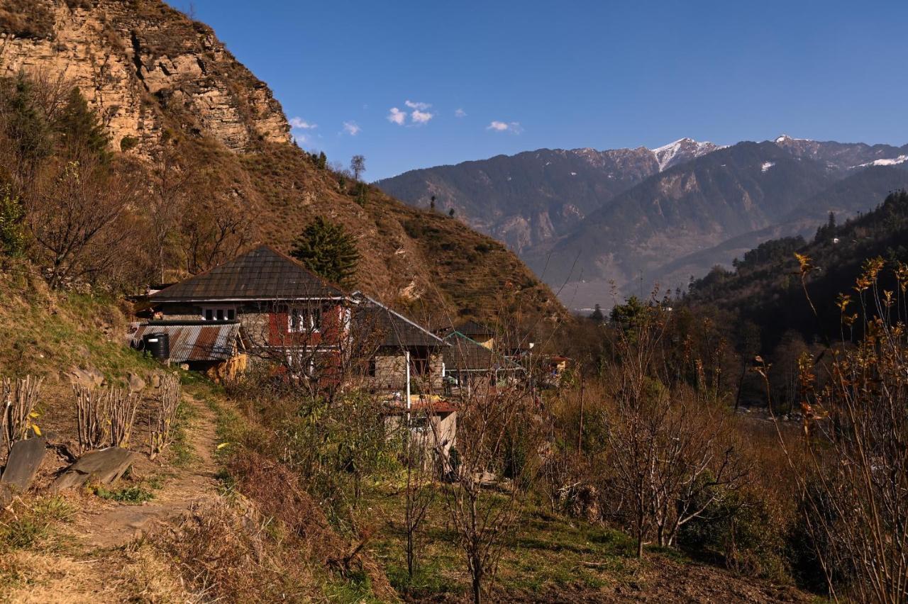 הוסטל Nagar  Zostel Dobhi, Manali מראה חיצוני תמונה